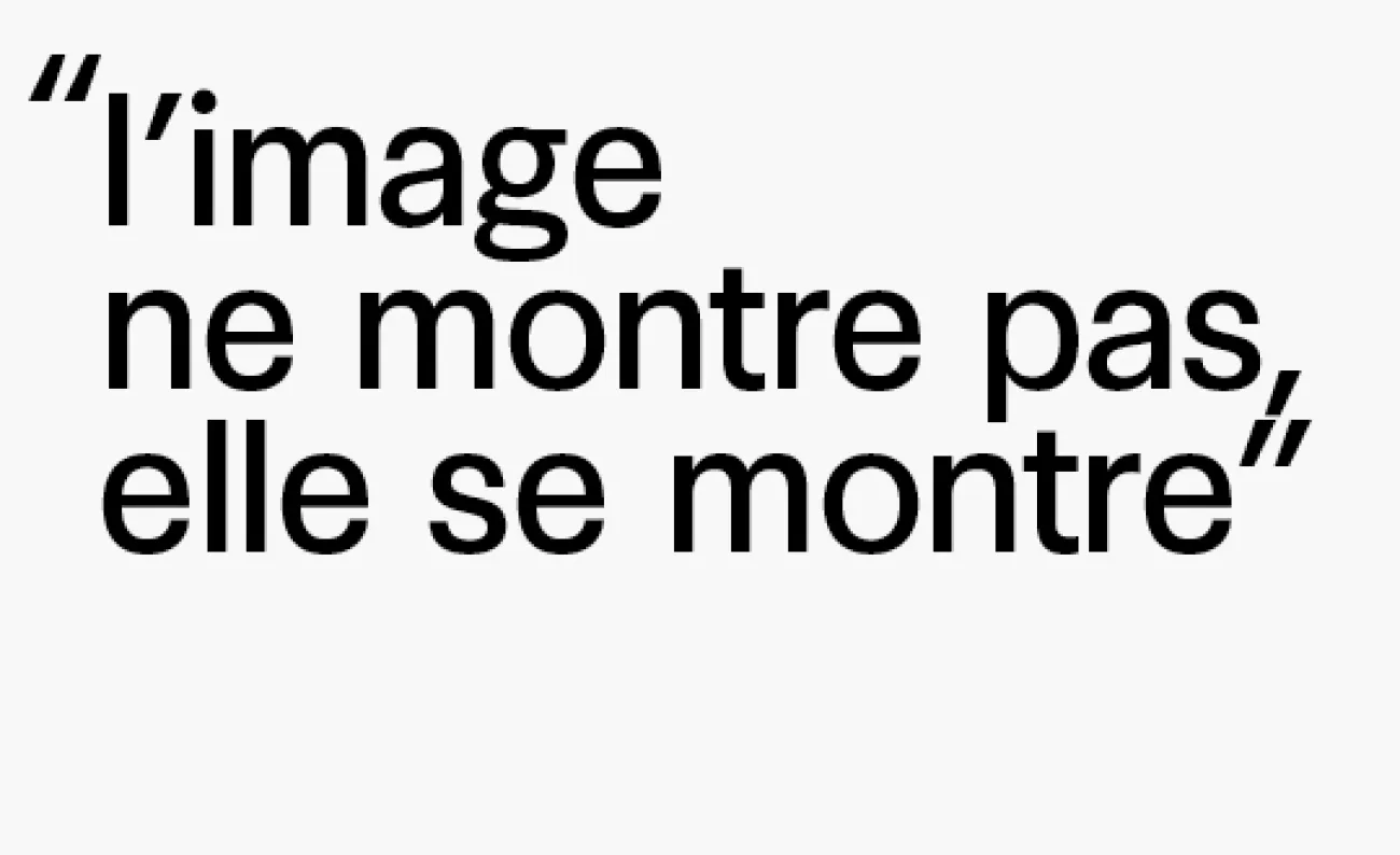 LA SOCIÉTÉ DES IMAGES